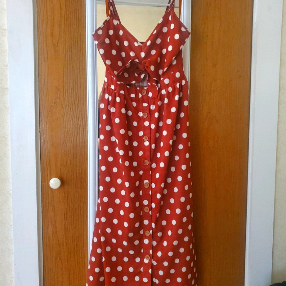 Polka Dot Dress